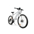 TOP new style 48V 750W mid motor electric mountain bike 2017